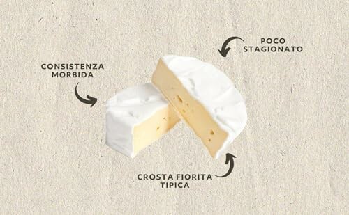 Diagram of soft cheese with labels in Italian